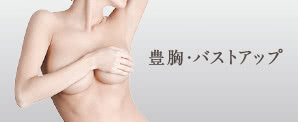 豊胸手術