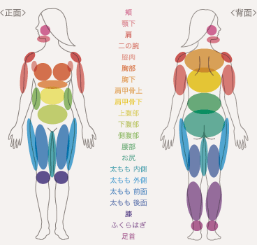 ＜正面＞＜背面＞ 頬 顎下 肩 二の腕 脇肉 胸部 胸下 肩甲骨上 肩甲骨下 上腹部 下腹部 側腹部 腰部 お尻 太もも 内側 太もも 外側 太もも 前面 太もも 後面 膝 ふくらはぎ 足首