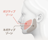 顔の脂肪のポジティブゾーンとネガティブゾーン