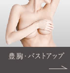 豊胸・バストアップ