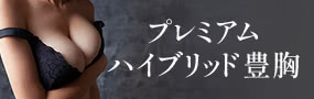 プレミアムハイブリッド豊胸モニター募集